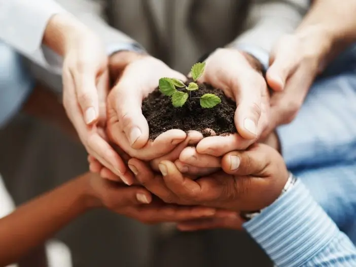plant-on-hand
