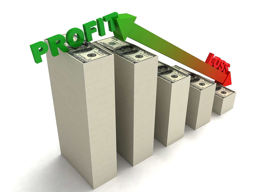 Profit and loss chart showing a business model that is different than a nonprofit's model. Profit and loss chart showing a business model that is different than a nonprofit's model.