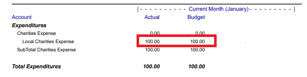 Screen capture of the budget showing the actual and budget column. Both have $100.00 showing the failure of church budgets. Screen capture of the budget showing the actual and budget column. Both have $100.00 showing the failure of church budgets.